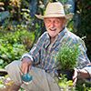 A Healthier You In 2015 Series: Gardening And Back Problems