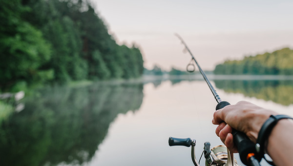 The City of Redding has been recognized as one of the top ten Trout fishing towns in the United States by Field & Stream magazine.